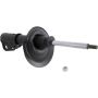 Autopart International Strut Assembly 270180601