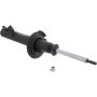 Autopart International Strut Assembly 270180606