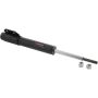Autopart International Strut Assembly 270180609