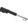 Autopart International Strut Assembly 270180611
