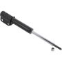Autopart International Strut Assembly 270180613