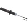 Autopart International Strut Assembly 270180620