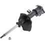 Autopart International Strut Assembly 270180623