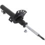 Autopart International Strut Assembly 270180630