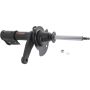 Autopart International Strut Assembly 270180631