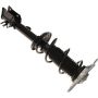 Autopart International Strut/Coil Spring Assy 2701823189