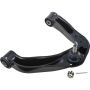 Autopart International Control Arm 270300471