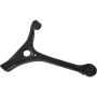 Autopart International Control Arm 270394232