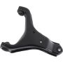 Autopart International Control Arm 270394593