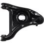 Autopart International Control Arm 270395147