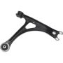 Autopart International Control Arm 270396110