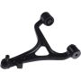 Autopart International Control Arm 270398764