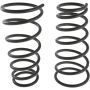 Autopart International Coil Spring Set 2704248530