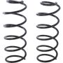 Autopart International Coil Spring Set 2704326338