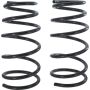 Autopart International Coil Spring Set 2704423547