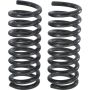 Autopart International Coil Spring Set 2704423552