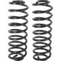 Autopart International Coil Spring Set 2704423554