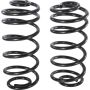 Autopart International Coil Spring Set 2704423562