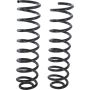 Autopart International Coil Spring Set 2704423563