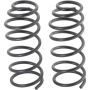 Autopart International Coil Spring Set 270443199