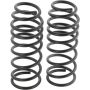 Autopart International Coil Spring Set 270443324