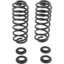 Autopart International Coil Spring Set 270443333