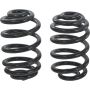 Autopart International Coil Spring Set 2704481996