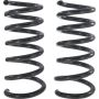 Autopart International Coil Spring Set 2704501893