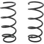 Autopart International Coil Spring Set 2704512143