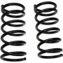 Autopart International Coil Spring Set 2704596802