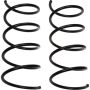 Autopart International Coil Spring Set 2704611266