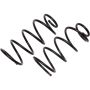 Autopart International Coil Spring Set 2704611386
