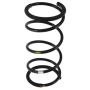 Autopart International Coil Spring 270471011