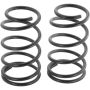 Autopart International Coil Spring Set 270495949