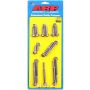 ARP ARP490-1502 Pontiac S/S Timing Cover Bolt Kit 6pt.