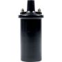 ALLSTAR PERFORMANCE ALL81234 Canister Style Ignition Coil
