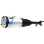 Autopart International Suspension Air Strut RWD w/o ADS 2721730143