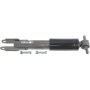 Autopart International Shock Absorber 2725539621