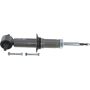 Autopart International Shock Absorber 2725539622