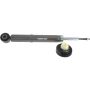Autopart International Shock Absorber 2725539623