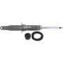 Autopart International Shock Absorber 2725539642
