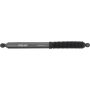 Autopart International Shock Absorber 2725539644