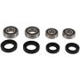 Pivot Works PWFWK-S06-520 Wheel Bearing Kit