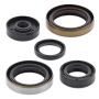 Vertex Pistons 822347 Vertex Gaskets 21-23 Gas-Gas MC 50 Oil Seal Kit