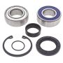 All Balls Racing 14-1004 03-06 Polaris 340 Classic Drive Shaft Bearing & Seal Kit Lower Shaft - Track