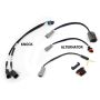 Haltech HT-220201 NEXUS Rebel LS Gen III Cable Throttle/EV1 Injectors/Manual Transmission