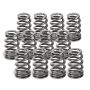 Supertech SPR-TS1015-BE-12 Toyota 2JZ-GE 19.70mm Outer ID 15.20mm Inner ID 10.4 Spr Rate Beehive Spring - Set of 12