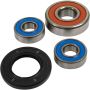 Pivot Works 25-1455-P Yamaha Wheel Bearing Kit Premium Bearings