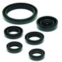 QuadBoss 564142 04-13 Yamaha YFZ450 Oil Seal Set