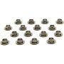 PAC RACING SPRINGS PACPAC-R510-16 .990 TI Valve Spring Retainers - 10 Degree